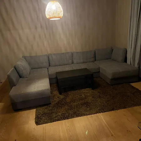 公寓 Ferienwohnung Bischofshofen 比绍夫斯霍芬