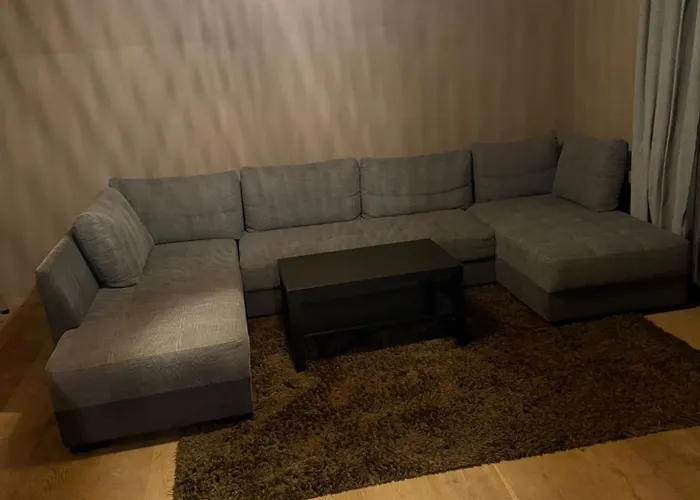 公寓 Ferienwohnung Bischofshofen 比绍夫斯霍芬